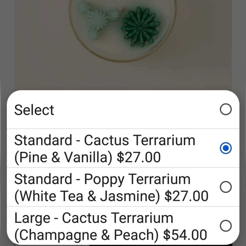 💥BUY 5 GET 3 FREE  Terrarium Candle CACTUS, Originally $27.00 - Picture 9 of 9